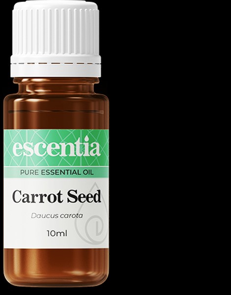 Carrot-Seed