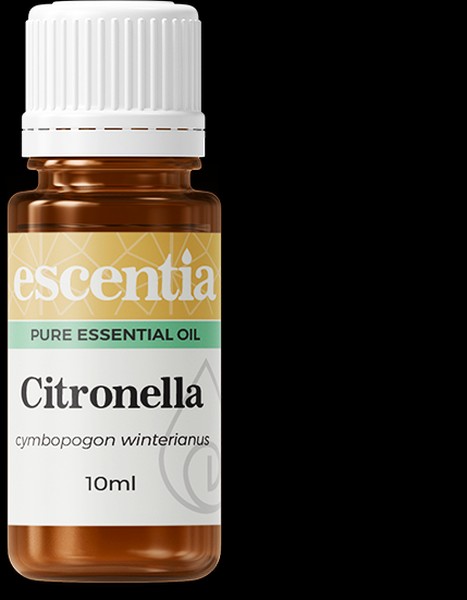 Citronella