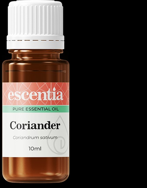 Coriander