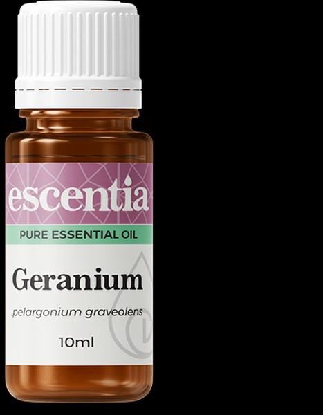 Geranium