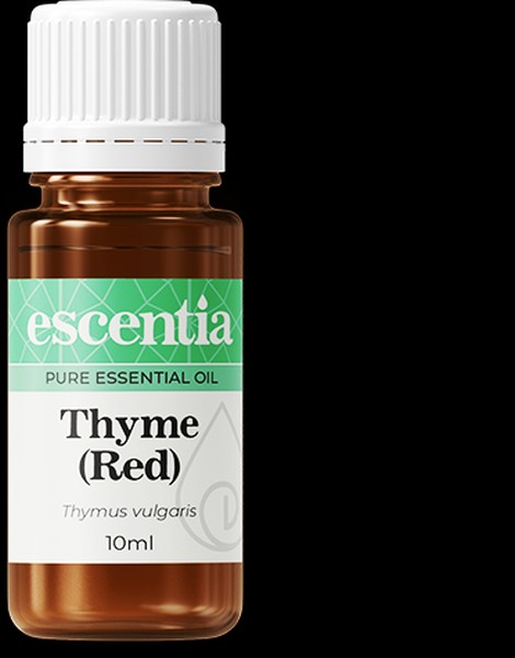 Thyme-Red