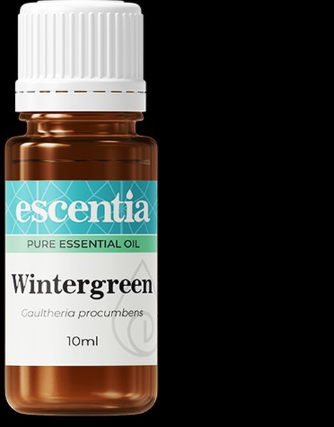 Wintergreen