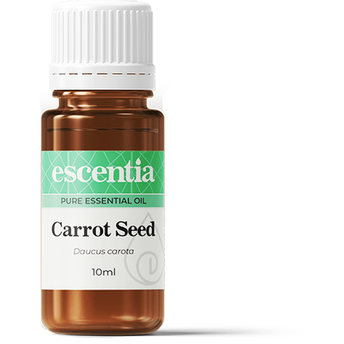 Carrot-Seed