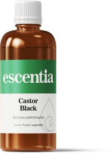 Caster-Black