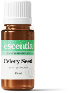 Celery-Seed