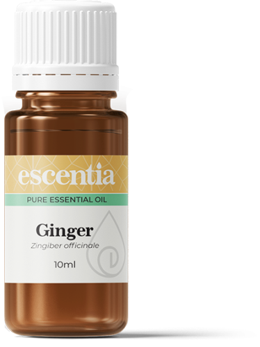 Ginger