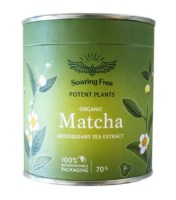 Matcha