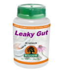 leaky-gut-product-339-5816